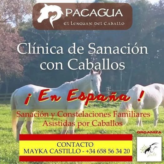 Inicio Master Ecuestre